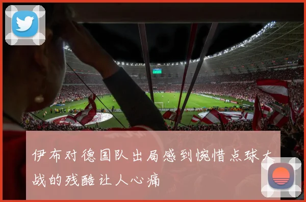 伊布对德国队出局感到惋惜点球大战的残酷让人心痛