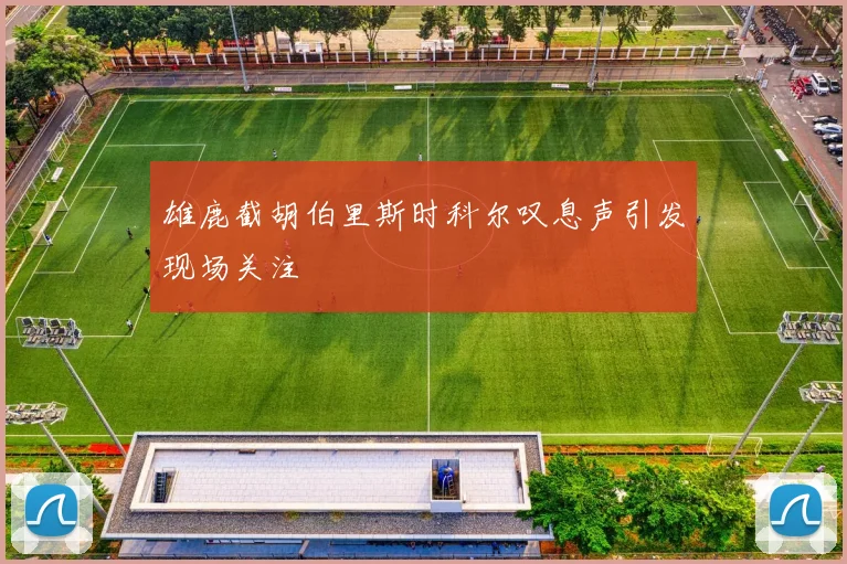 雄鹿截胡伯里斯时科尔叹息声引发现场关注